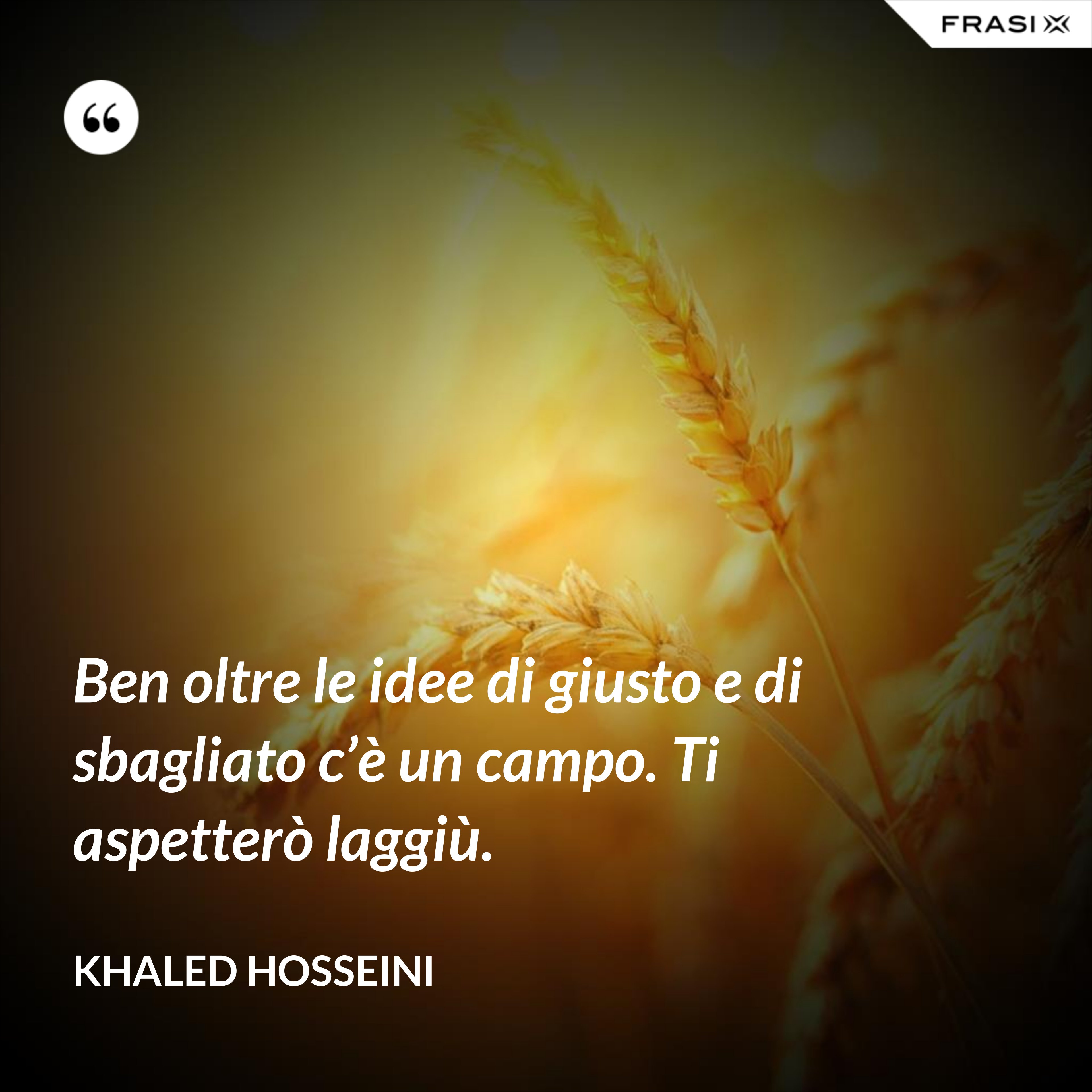 Ben oltre le idee di giusto e di sbagliato c’è un campo. Ti aspetterò laggiù. - Khaled Hosseini