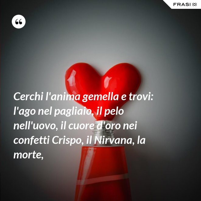 Cerchi l'anima gemella e trovi: l'ago nel pagliaio, il pelo nell'uovo, il cuore d'oro nei confetti Crispo, il Nirvana, la morte, - Anonimo