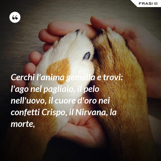 Cerchi l'anima gemella e trovi: l'ago nel pagliaio, il pelo nell'uovo, il cuore d'oro nei confetti Crispo, il Nirvana, la morte, - Anonimo