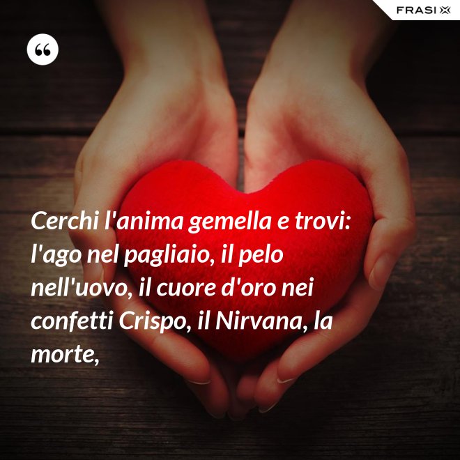Cerchi l'anima gemella e trovi: l'ago nel pagliaio, il pelo nell'uovo, il cuore d'oro nei confetti Crispo, il Nirvana, la morte, - Anonimo