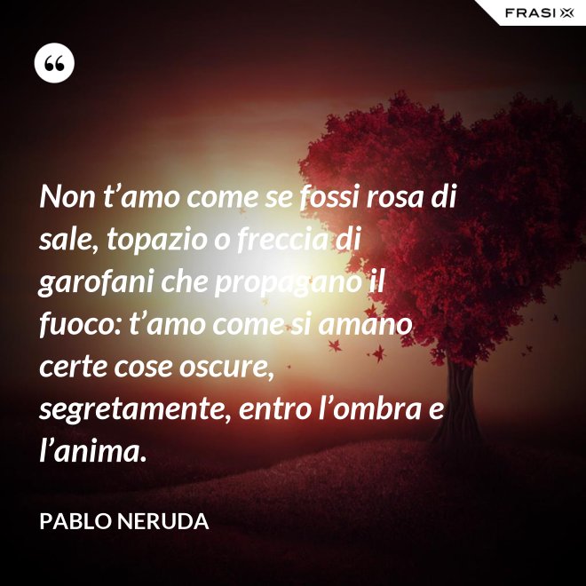 Non t’amo come se fossi rosa di sale, topazio o freccia di garofani che propagano il fuoco: t’amo come si amano certe cose oscure, segretamente, entro l’ombra e l’anima. - Pablo Neruda