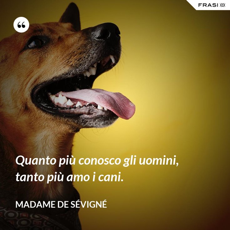 Più Conosco Gli Uomini Più Amo Gli Animali