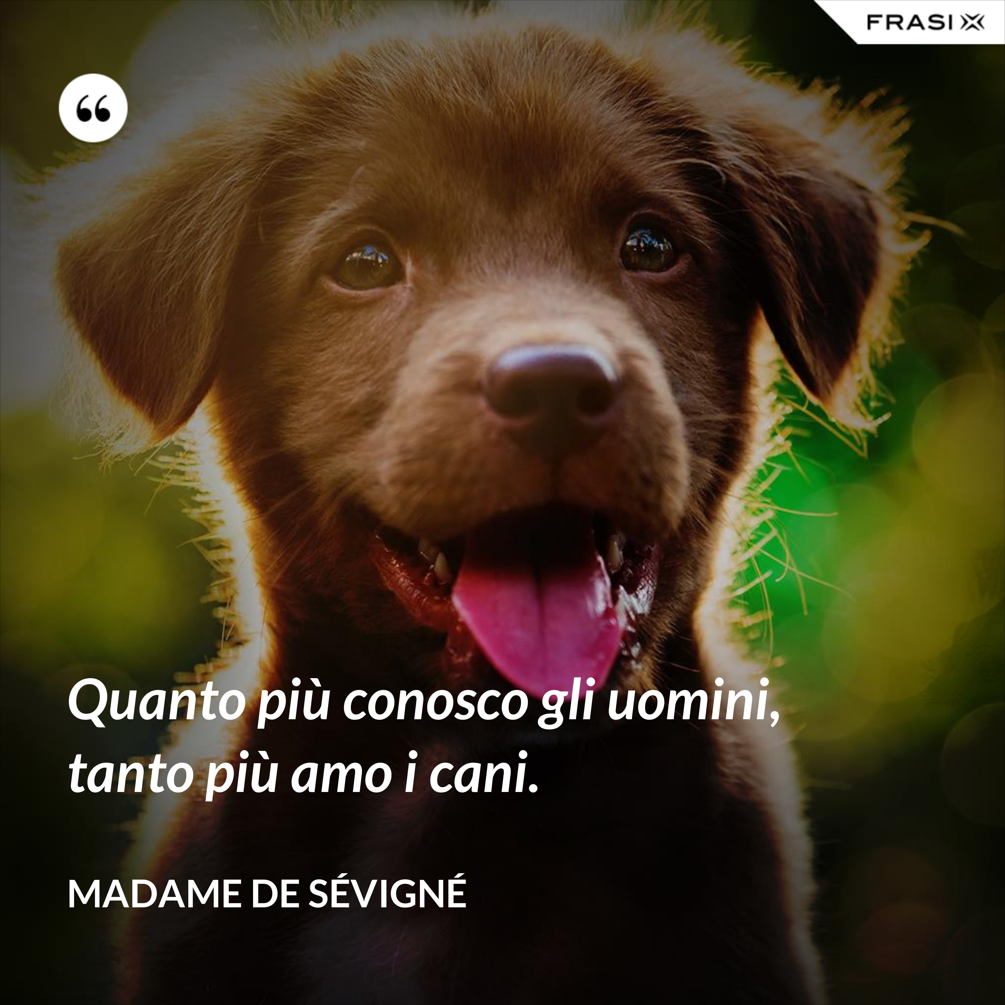 Quanto più conosco gli uomini, tanto più amo i cani. - Madame de Sévigné