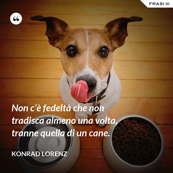 Non c’è fedeltà che non tradisca almeno una volta, tranne quella di un cane. - Konrad Lorenz