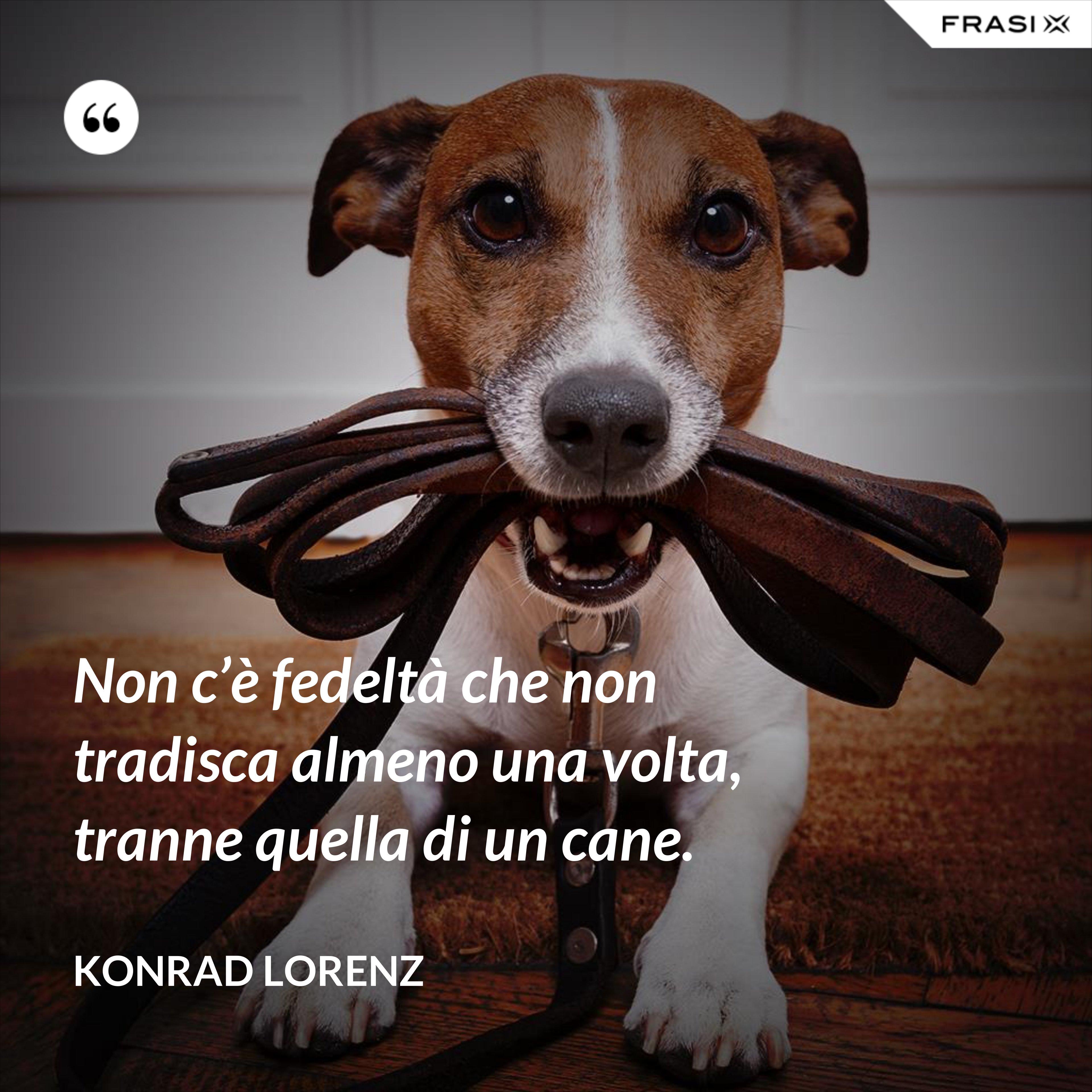 Non c’è fedeltà che non tradisca almeno una volta, tranne quella di un cane. - Konrad Lorenz