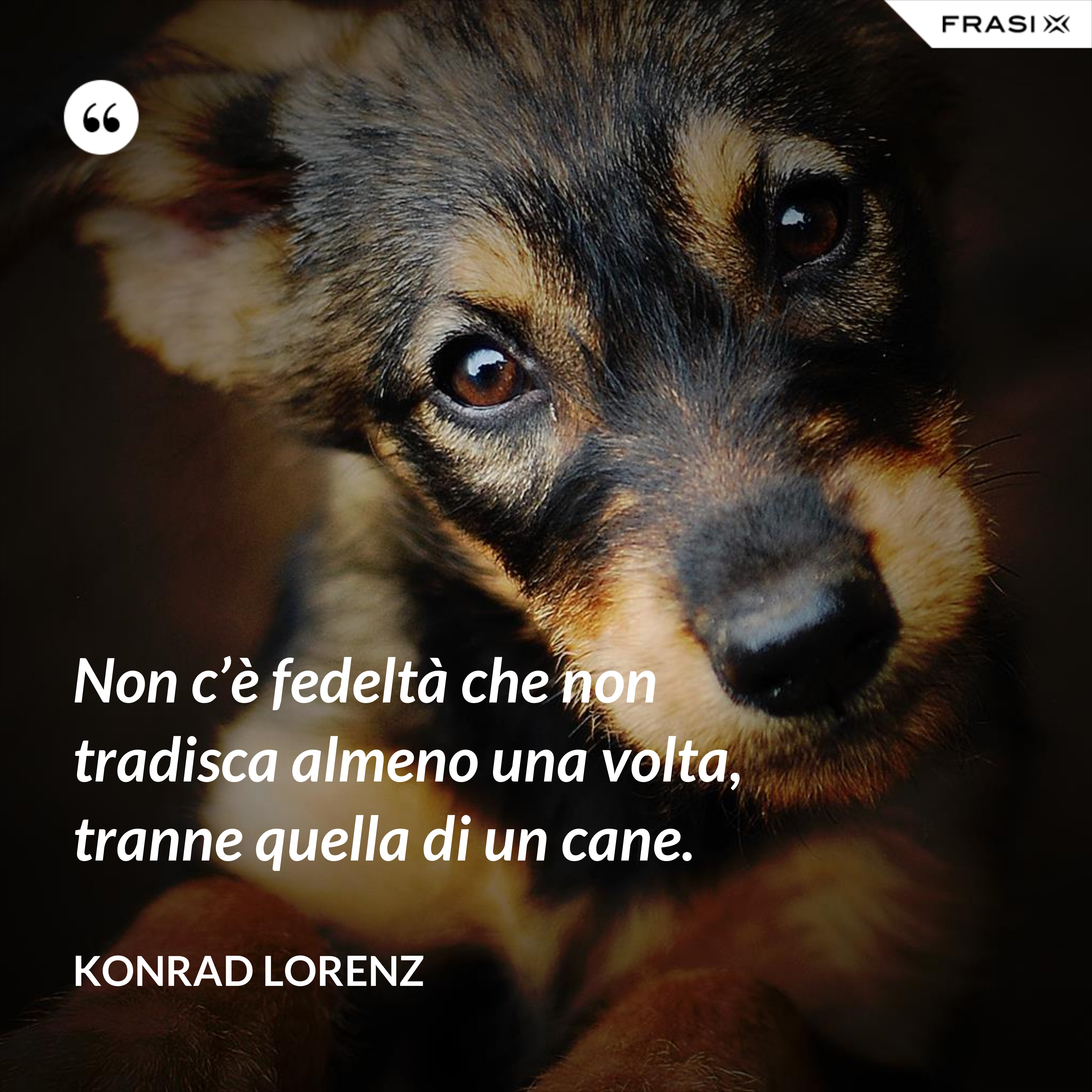Non c’è fedeltà che non tradisca almeno una volta, tranne quella di un cane. - Konrad Lorenz