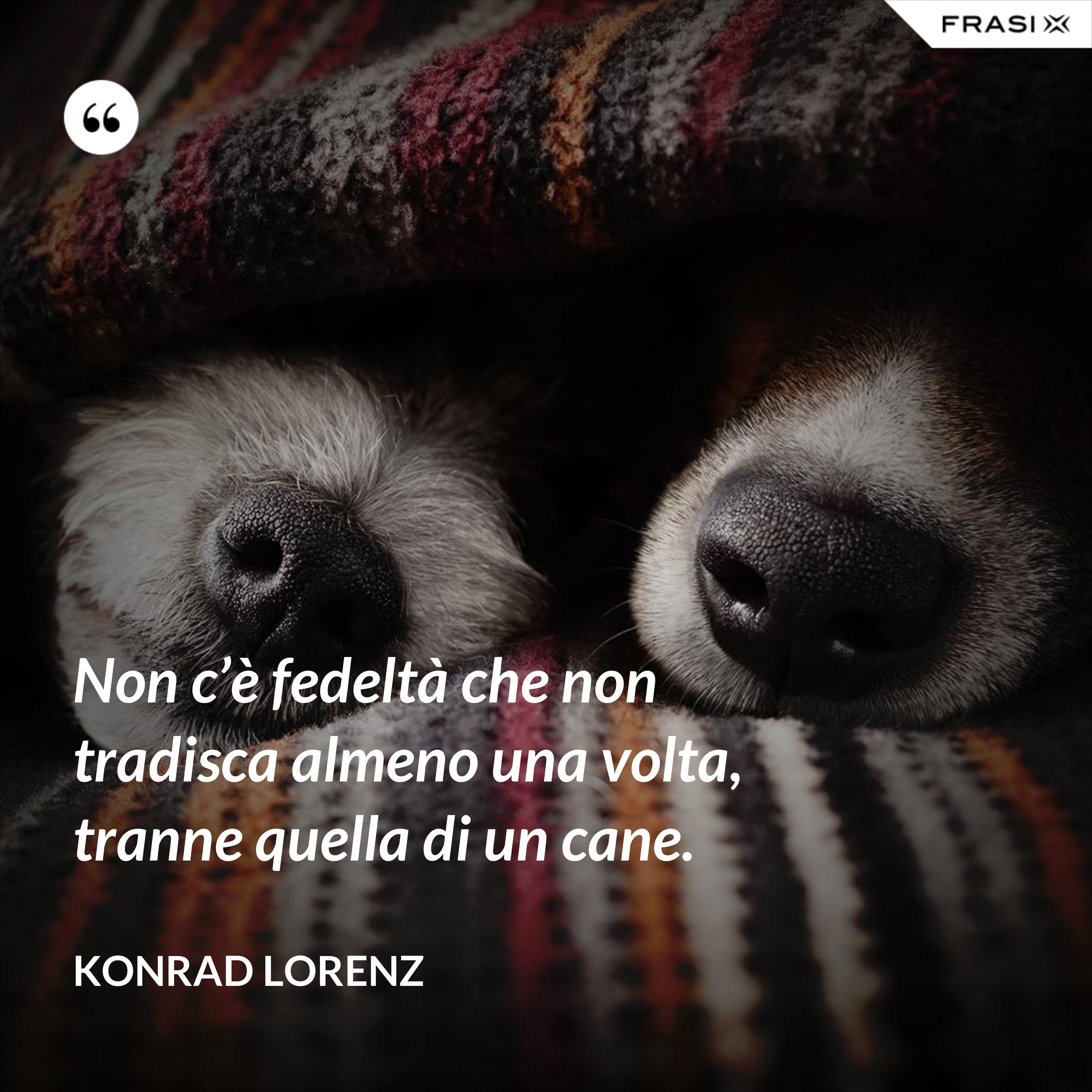 Non c’è fedeltà che non tradisca almeno una volta, tranne quella di un cane. - Konrad Lorenz