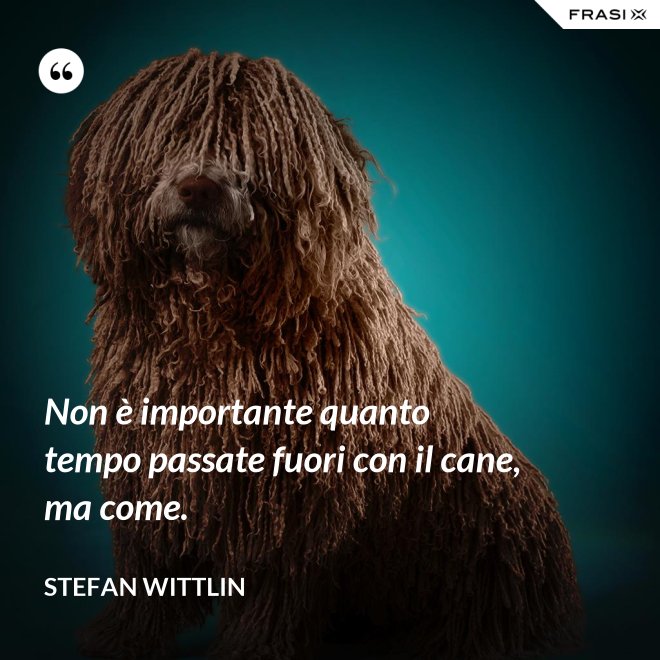 Non è importante quanto tempo passate fuori con il cane, ma come. - Stefan Wittlin