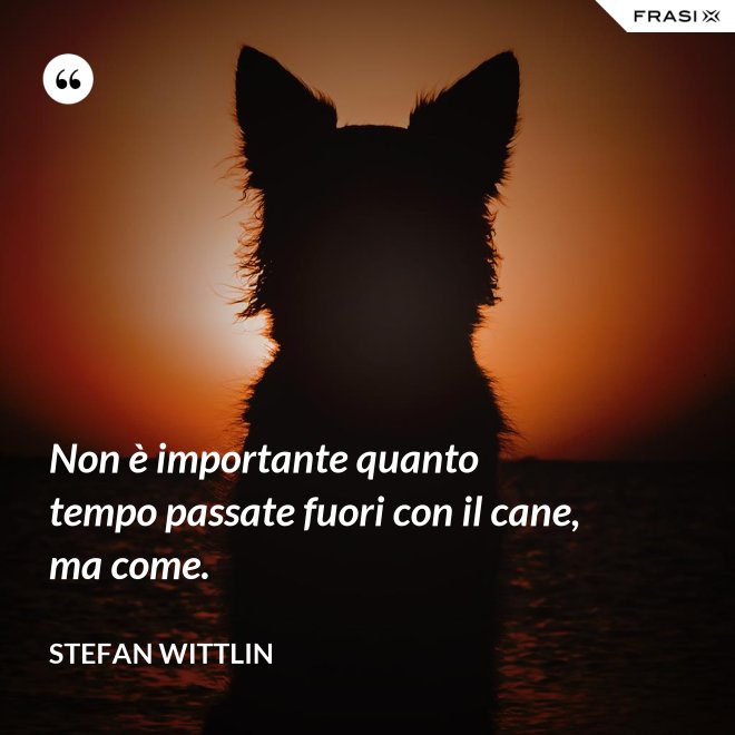 Non è importante quanto tempo passate fuori con il cane, ma come. - Stefan Wittlin