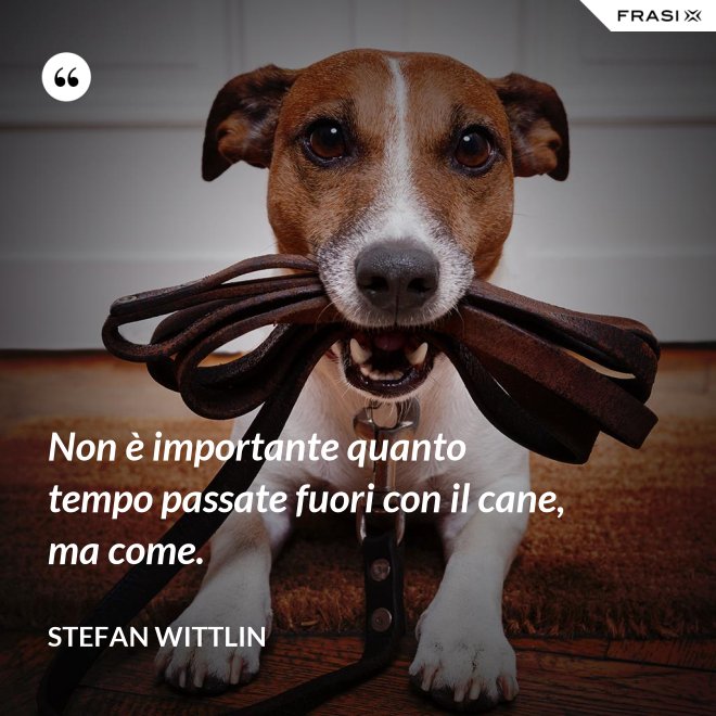 Non è importante quanto tempo passate fuori con il cane, ma come. - Stefan Wittlin