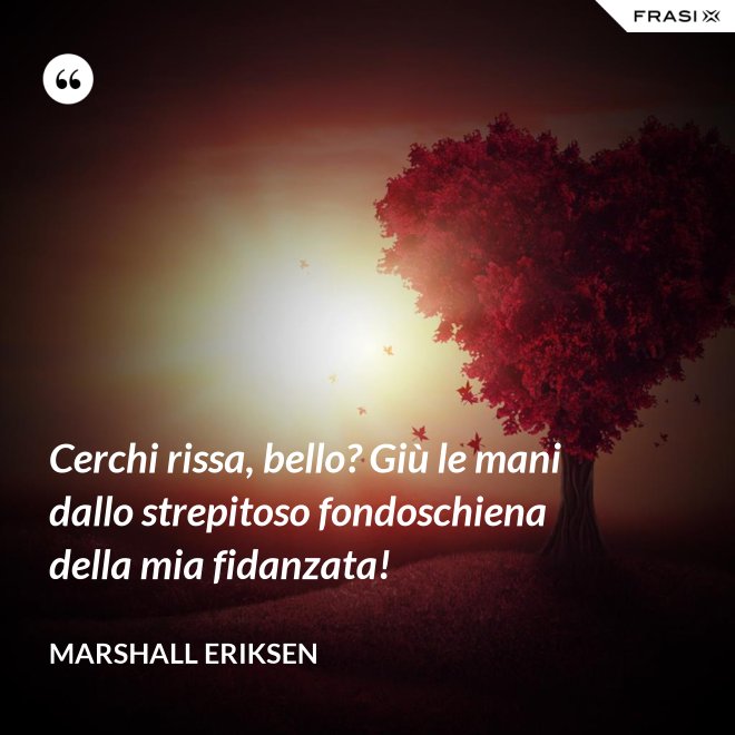 Cerchi rissa, bello? Giù le mani dallo strepitoso fondoschiena della mia fidanzata! - Marshall Eriksen