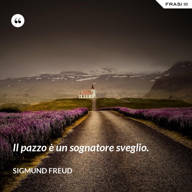 Il pazzo è un sognatore sveglio. - Sigmund Freud