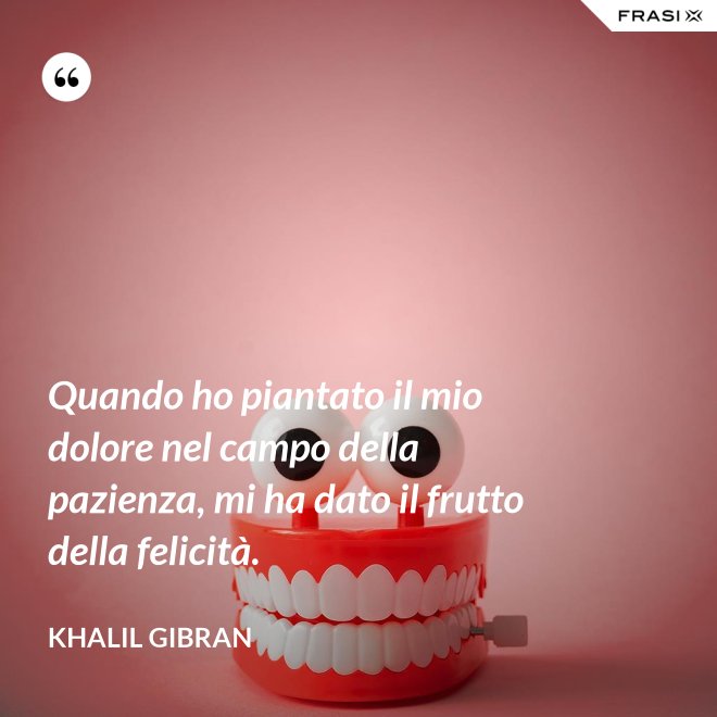 Quando ho piantato il mio dolore nel campo della pazienza, mi ha dato il frutto della felicità. - Khalil Gibran