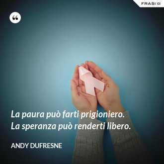 La paura può farti prigioniero. La speranza può renderti libero. - Andy Dufresne