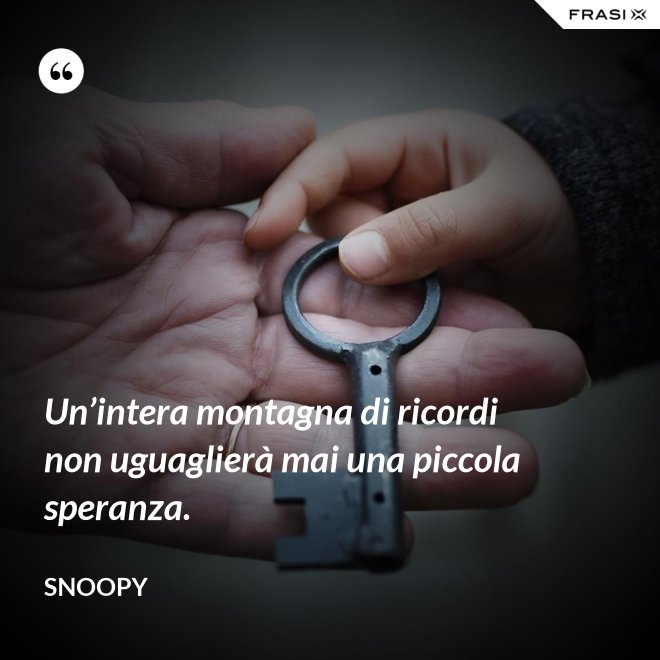 Un’intera montagna di ricordi non uguaglierà mai una piccola speranza. - Snoopy