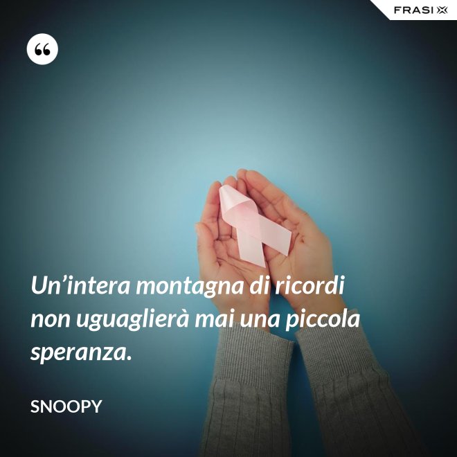 Un’intera montagna di ricordi non uguaglierà mai una piccola speranza. - Snoopy