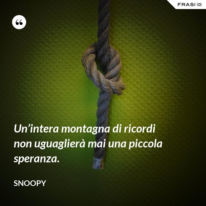 Un’intera montagna di ricordi non uguaglierà mai una piccola speranza. - Snoopy