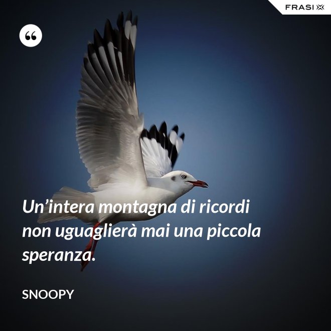 Un’intera montagna di ricordi non uguaglierà mai una piccola speranza. - Snoopy