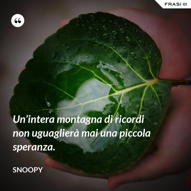 Un’intera montagna di ricordi non uguaglierà mai una piccola speranza. - Snoopy