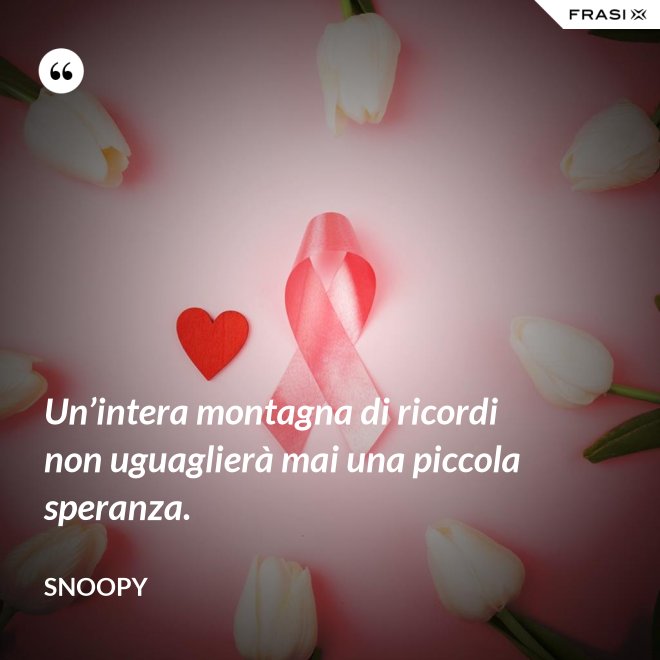 Un’intera montagna di ricordi non uguaglierà mai una piccola speranza. - Snoopy