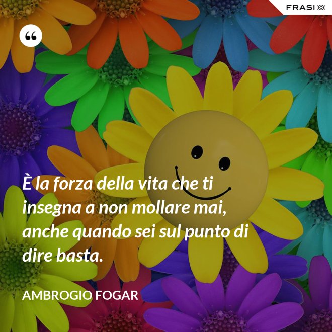 È la forza della vita che ti insegna a non mollare mai, anche quando sei sul punto di dire basta. - Ambrogio Fogar