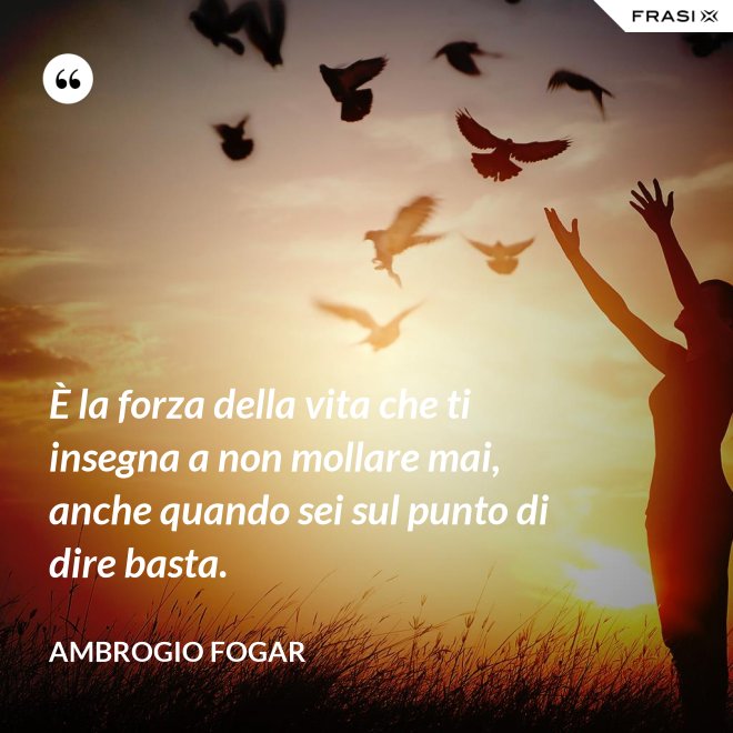 È la forza della vita che ti insegna a non mollare mai, anche quando sei sul punto di dire basta. - Ambrogio Fogar