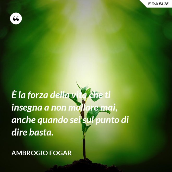 È la forza della vita che ti insegna a non mollare mai, anche quando sei sul punto di dire basta. - Ambrogio Fogar