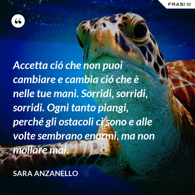 Accetta ció che non puoi cambiare e cambia ció che è nelle tue mani. Sorridi, sorridi, sorridi. Ogni tanto piangi, perché gli ostacoli ci sono e alle volte sembrano enormi, ma non mollare mai. - Sara Anzanello