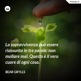 La sopravvivenza può essere riassunta in tre parole: non mollare mai. Questo è il vero cuore di ogni cosa. - Bear Grylls