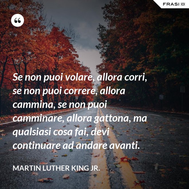 Se non puoi volare, allora corri, se non puoi correre, allora cammina, se non puoi camminare, allora gattona, ma qualsiasi cosa fai, devi continuare ad andare avanti. - Martin Luther King Jr.