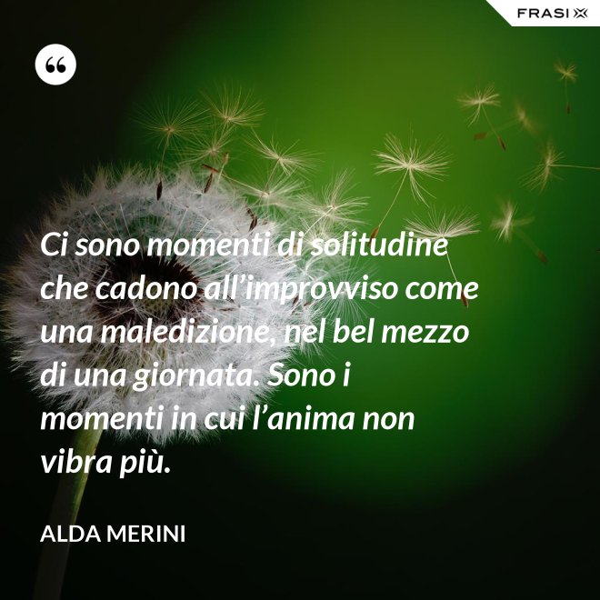Ci sono momenti di solitudine che cadono all’improvviso come una maledizione, nel bel mezzo di una giornata. Sono i momenti in cui l’anima non vibra più. - Alda Merini