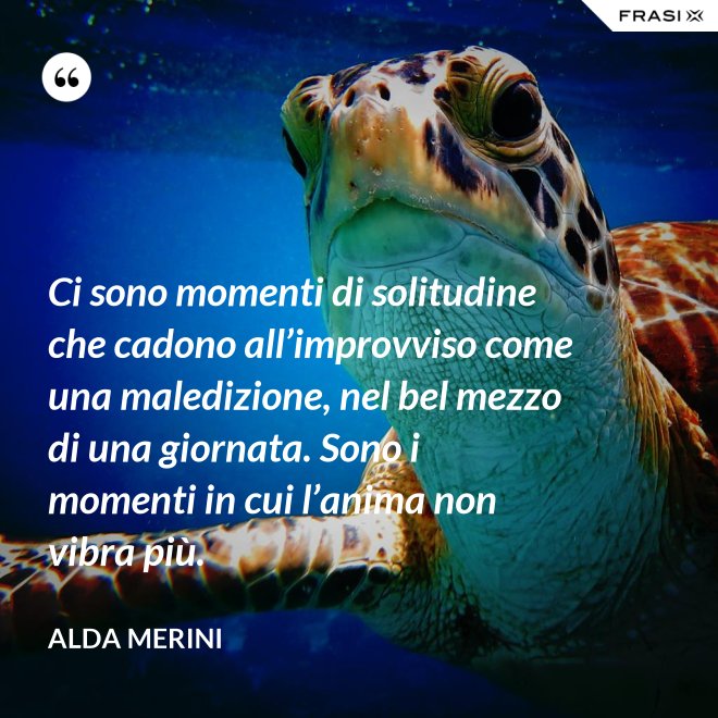 Ci sono momenti di solitudine che cadono all’improvviso come una maledizione, nel bel mezzo di una giornata. Sono i momenti in cui l’anima non vibra più. - Alda Merini