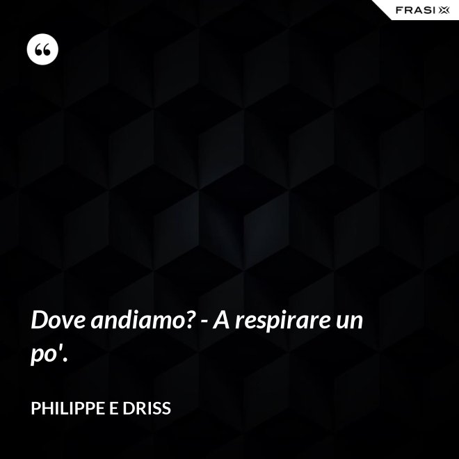Dove andiamo? - A respirare un po'. - Philippe e Driss