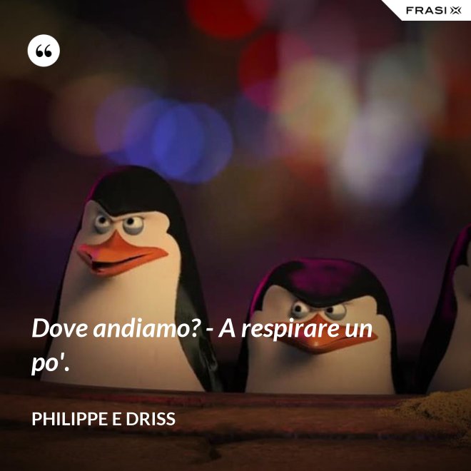 Dove andiamo? - A respirare un po'. - Philippe e Driss