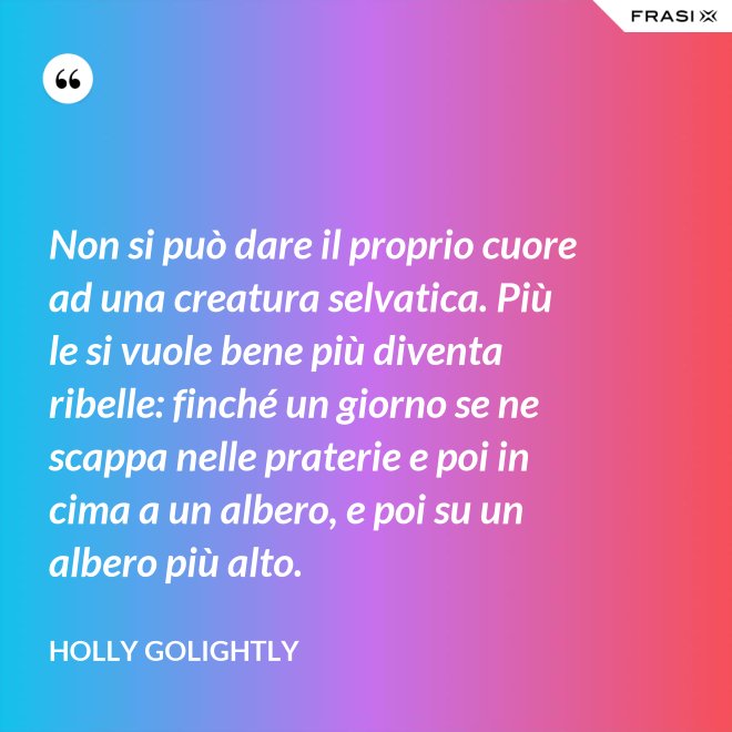 Non si può dare il proprio cuore ad una creatura selvatica. Più le si vuole bene più diventa ribelle: finché un giorno se ne scappa nelle praterie e poi in cima a un albero, e poi su un albero più alto. - Holly Golightly
