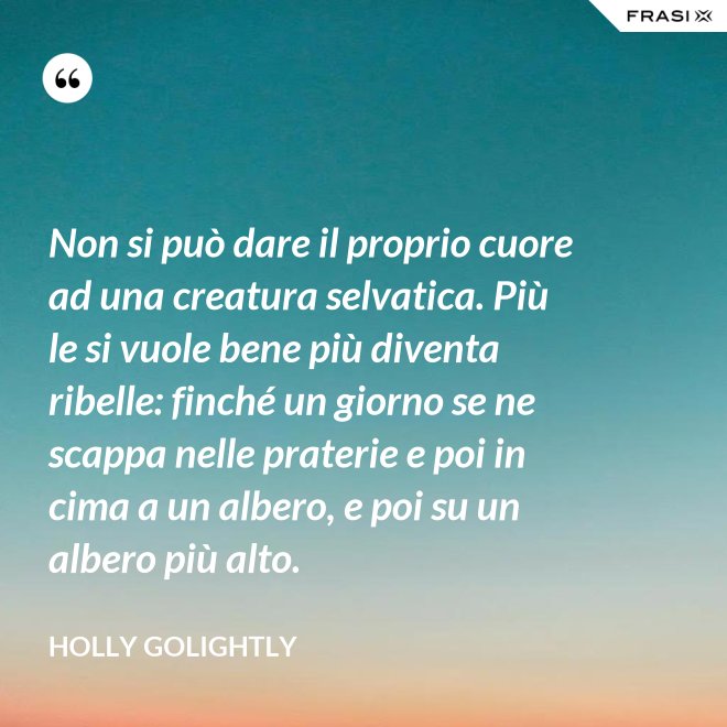 Non si può dare il proprio cuore ad una creatura selvatica. Più le si vuole bene più diventa ribelle: finché un giorno se ne scappa nelle praterie e poi in cima a un albero, e poi su un albero più alto. - Holly Golightly