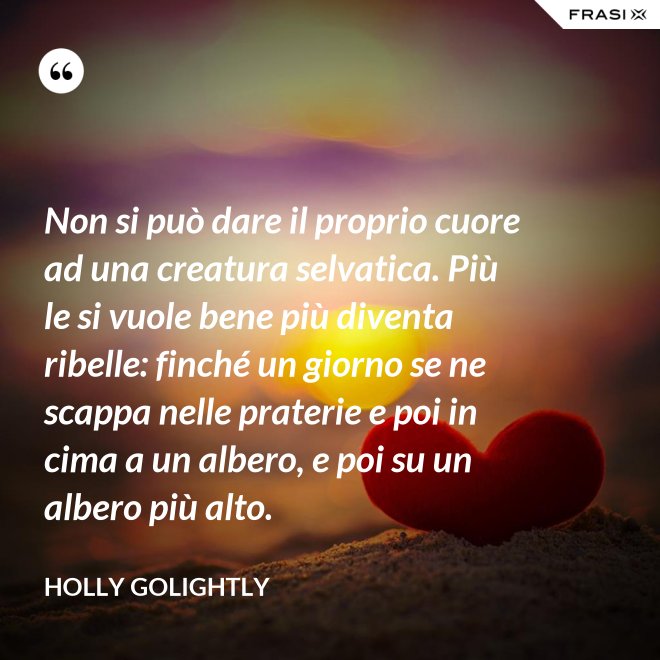 Non si può dare il proprio cuore ad una creatura selvatica. Più le si vuole bene più diventa ribelle: finché un giorno se ne scappa nelle praterie e poi in cima a un albero, e poi su un albero più alto. - Holly Golightly