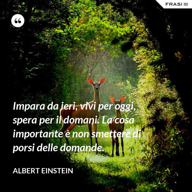 Impara da ieri, vivi per oggi, spera per il domani. La cosa importante è non smettere di porsi delle domande. - Albert Einstein