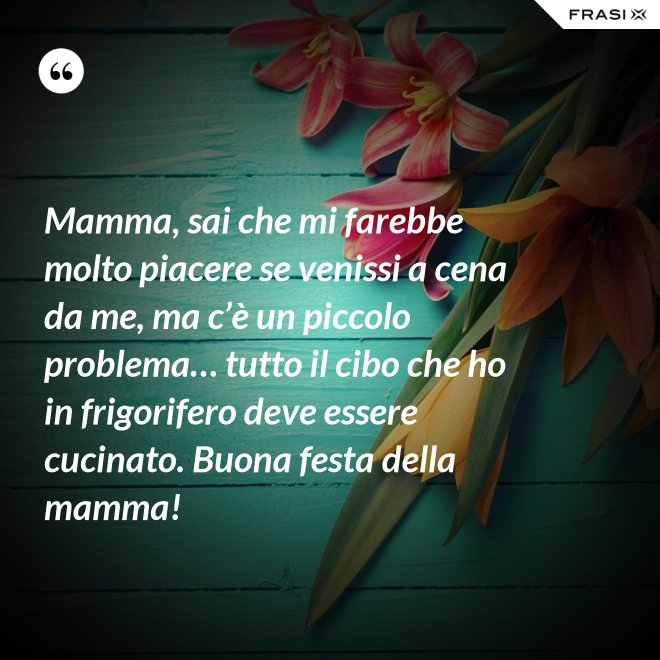 Mamma, sai che mi farebbe molto piacere se venissi a cena da me, ma c’è un piccolo problema… tutto il cibo che ho in frigorifero deve essere cucinato. Buona festa della mamma! - Anonimo