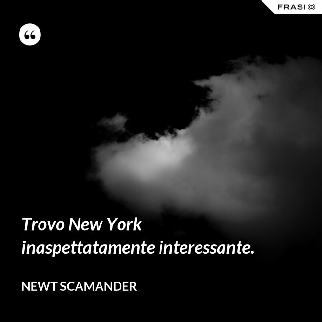 Trovo New York inaspettatamente interessante. - Newt Scamander