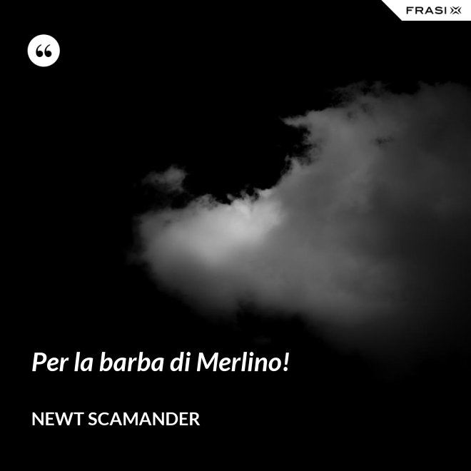 Per la barba di Merlino! - Newt Scamander