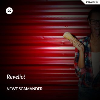 Revelio! - Newt Scamander