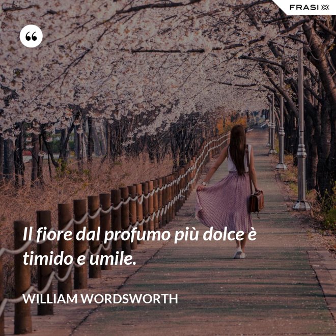Il fiore dal profumo più dolce è timido e umile. - William Wordsworth