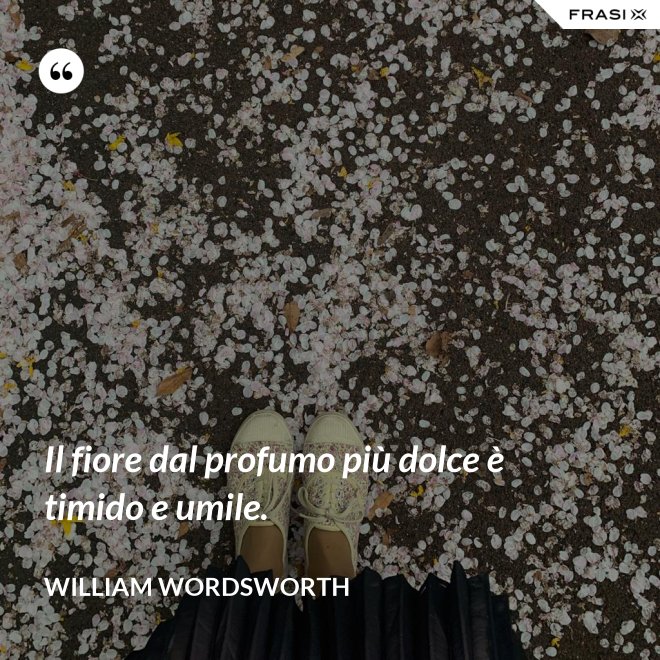 Il fiore dal profumo più dolce è timido e umile. - William Wordsworth