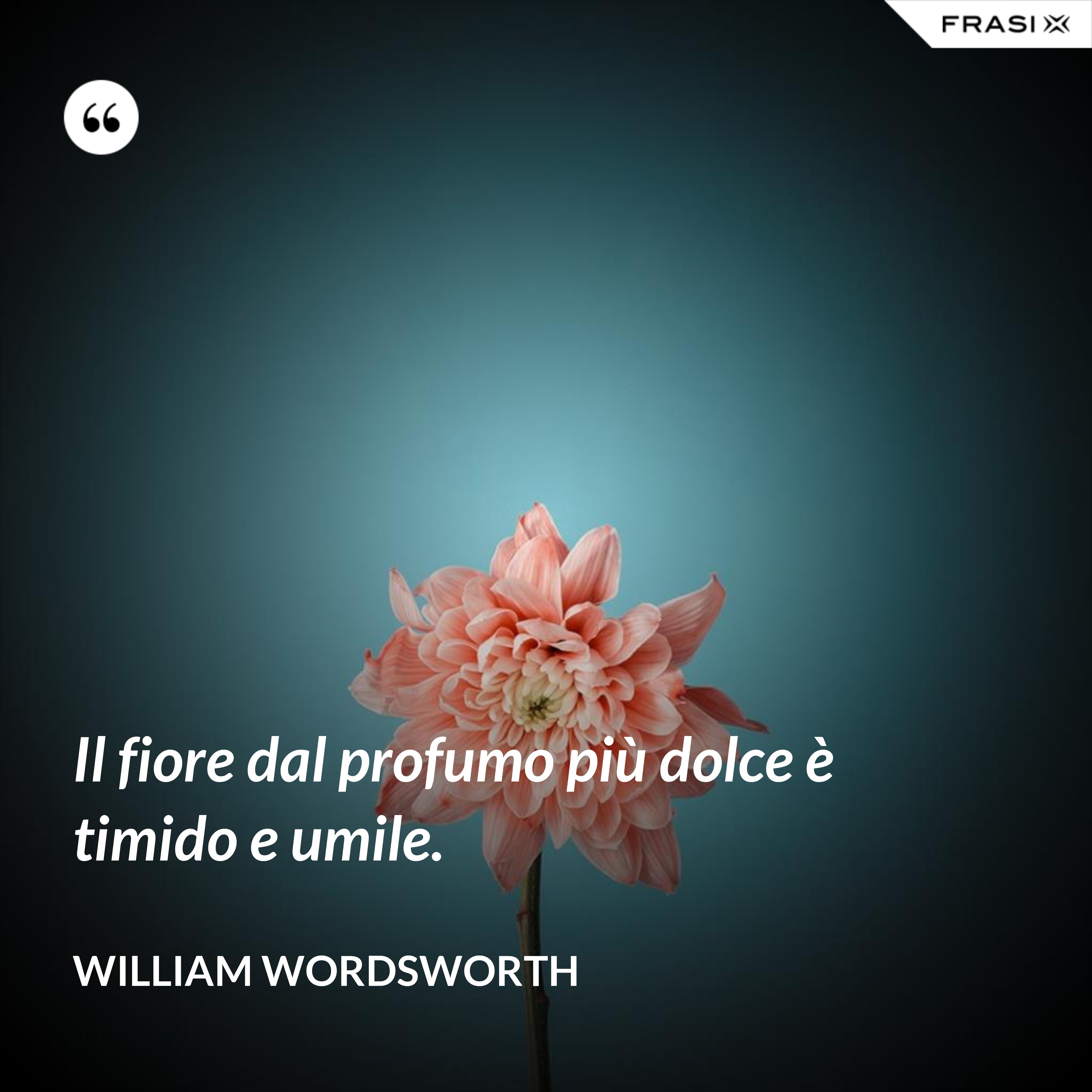 Il fiore dal profumo più dolce è timido e umile. - William Wordsworth