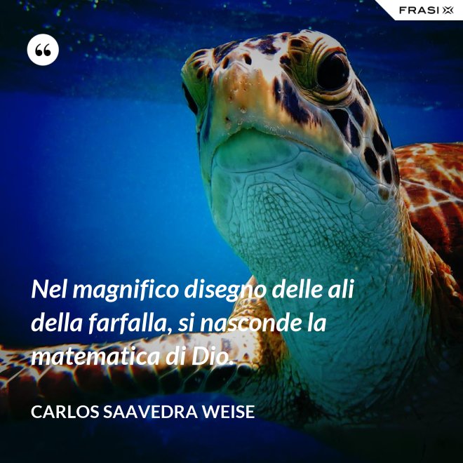 Nel magnifico disegno delle ali della farfalla, si nasconde la matematica di Dio. - Carlos Saavedra Weise