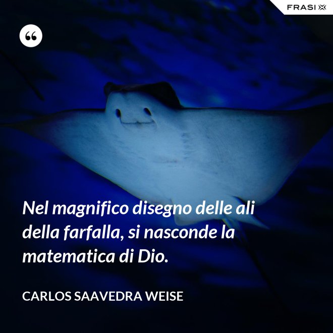 Nel magnifico disegno delle ali della farfalla, si nasconde la matematica di Dio. - Carlos Saavedra Weise