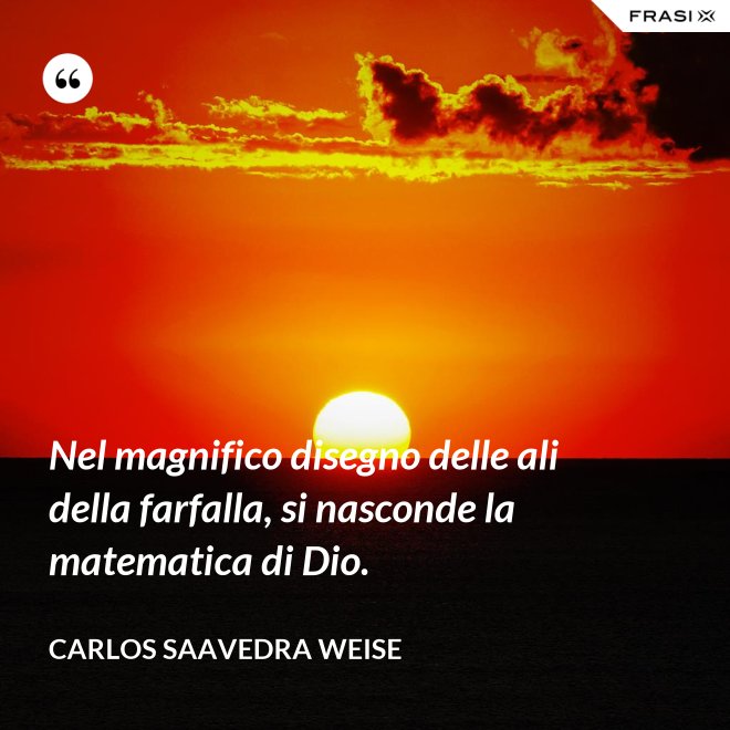Nel magnifico disegno delle ali della farfalla, si nasconde la matematica di Dio. - Carlos Saavedra Weise