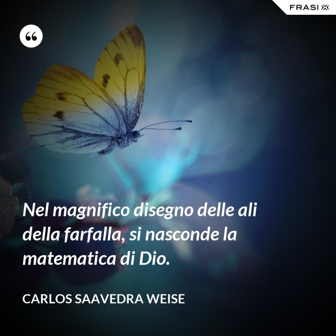Nel magnifico disegno delle ali della farfalla, si nasconde la matematica di Dio. - Carlos Saavedra Weise