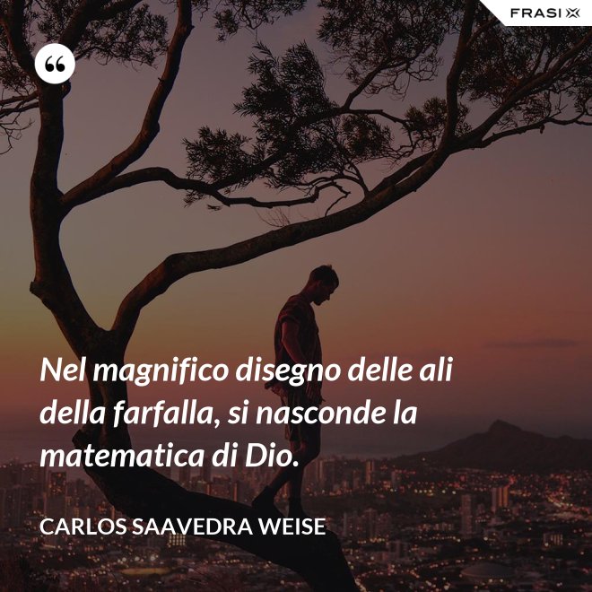 Nel magnifico disegno delle ali della farfalla, si nasconde la matematica di Dio. - Carlos Saavedra Weise
